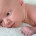 Letter From a Gosnell Baby